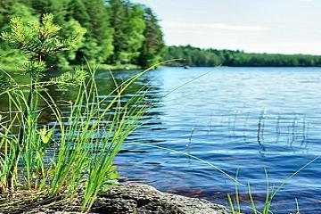 Water purification (lake cleaning)