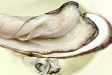 Food preservation, e.g killing norovirus in oysters